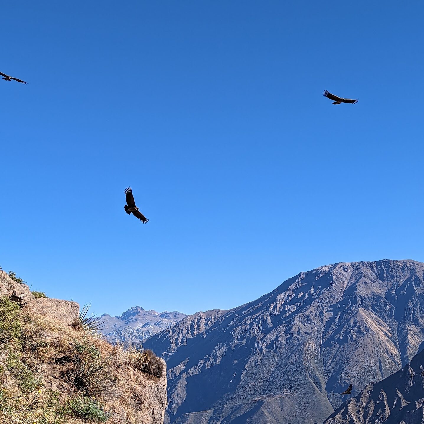 The Essential Guide to the Colca Canyon